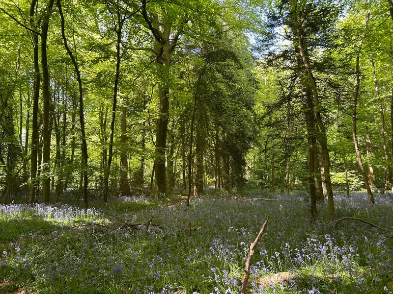 Gallery - created at 2025-05-02 12:16:59 - image 11