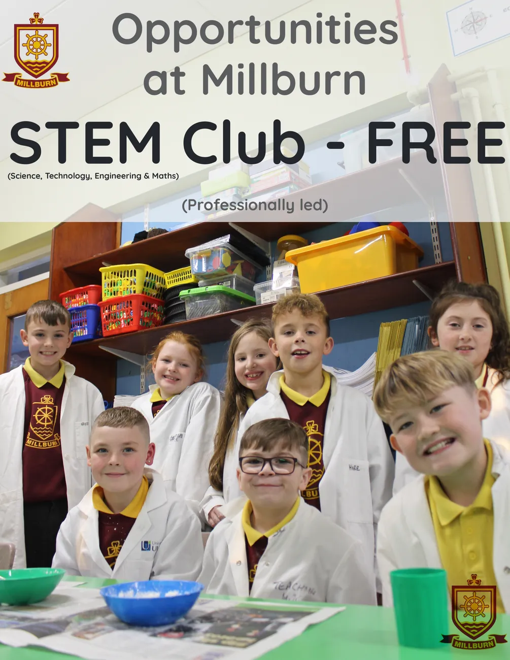 Gallery - created at 2024-06-11 11:49:37 - image 3