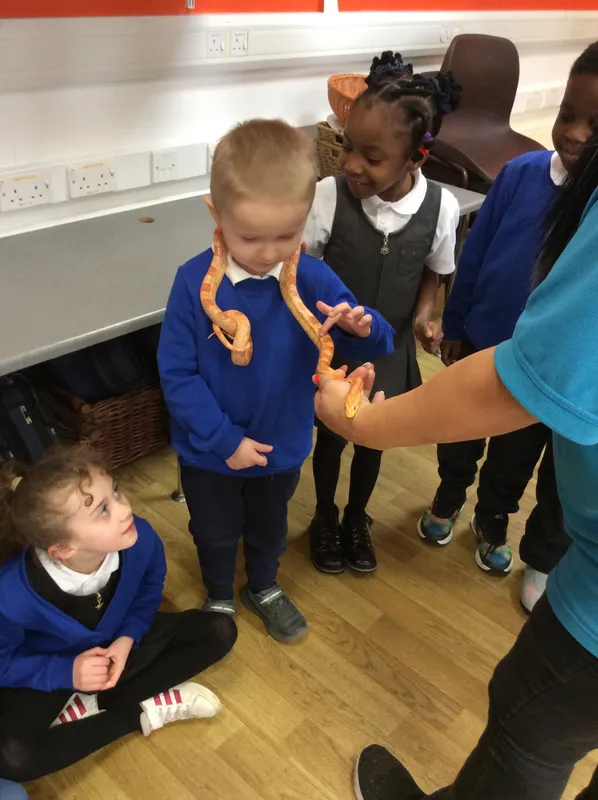 Gallery - created at 2024-02-26 17:15:57 - image 96 Gallery - created at 2024-02-26 17:15:57 - image 96