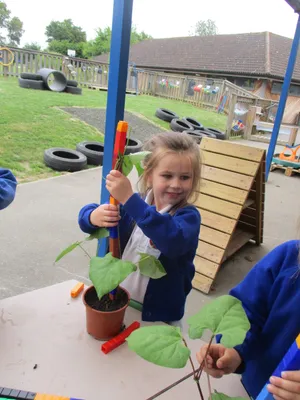 Giant Beanstalks - image 16
