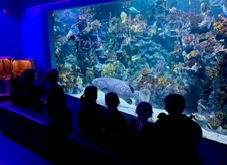 Willow Class Aquarium Trip