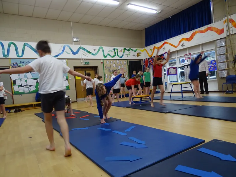 Ospreys Gymnastics Skills - image 4 Ospreys Gymnastics Skills - image 4