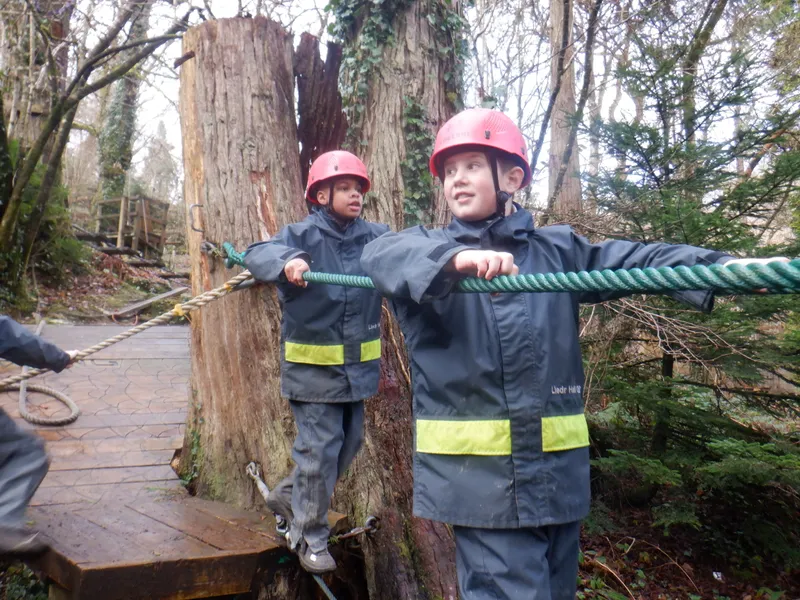 Gallery - created at 2025-02-26 20:19:52 - image 59