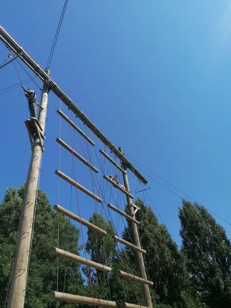 Group 1 - Trapeze - image 25