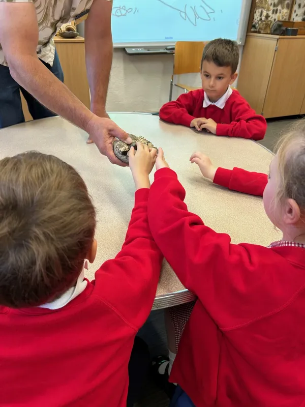 Gallery - created at 2025-05-15 20:19:39 - image 35