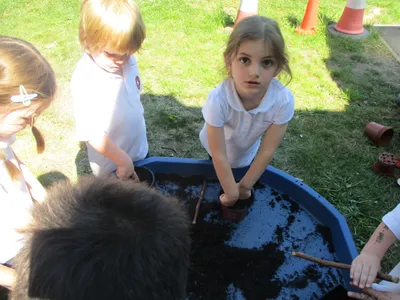 Planting - image 38