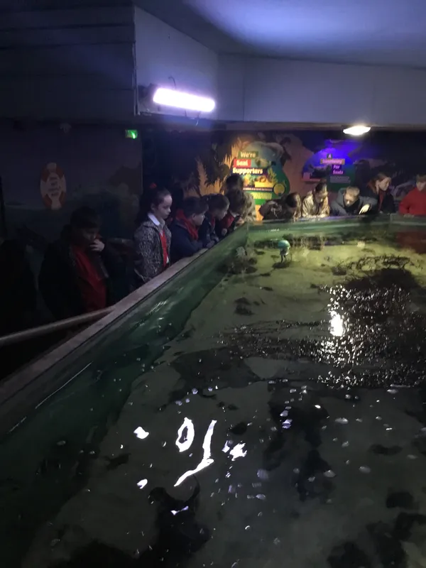 Year 5 Sealife Centre  - image 6