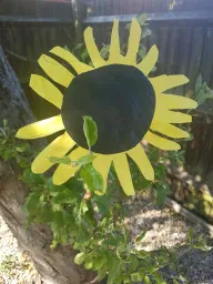 Gallery - created at 2020-07-23 17:30:44 - image 29