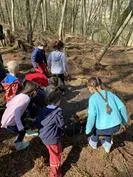 Forest School 134 - image 4 Forest School 134 - image 4