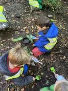 Forest School 91 - image 4 Forest School 91 - image 4