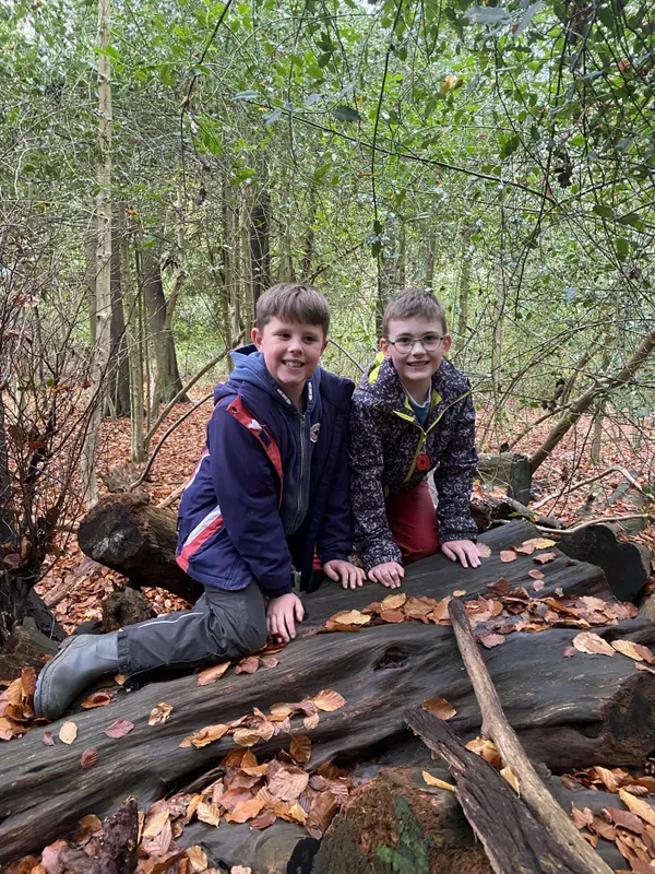 Gallery - created at 2025-11-14 14:33:38 - image 17 Gallery - created at 2025-11-14 14:33:38 - image 17