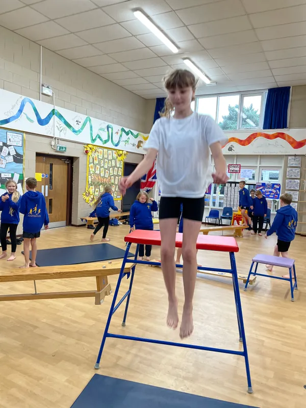 In PE we have moved onto using apparatus with our balances - image 2 In PE we have moved onto using apparatus with our balances - image 2