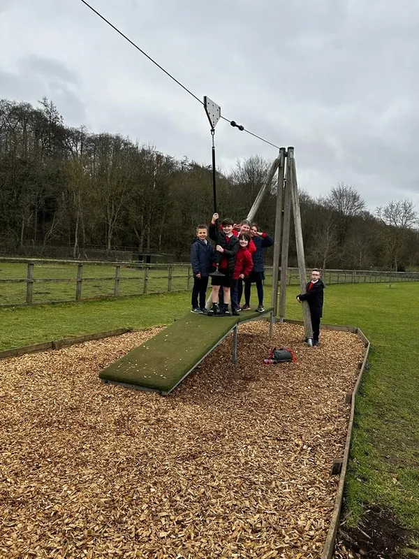 Gallery - created at 2023-03-01 14:01:13 - image 9