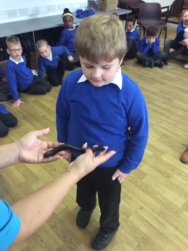 Gallery - created at 2024-03-05 13:52:56 - image 43 Gallery - created at 2024-03-05 13:52:56 - image 43