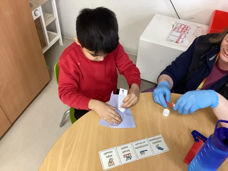 Maple Class - image 5