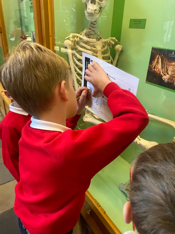 Gallery - created at 2024-01-16 20:24:51 - image 4 Gallery - created at 2024-01-16 20:24:51 - image 4