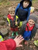 Forest School 77 - image 3 Forest School 77 - image 3
