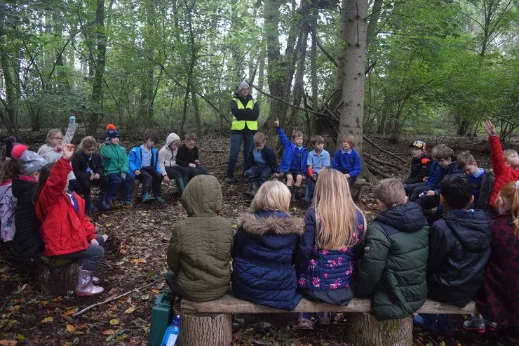 Gallery 6 - image 24