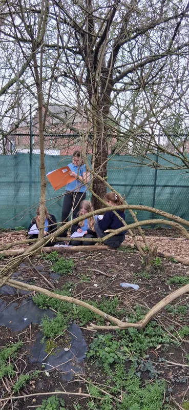 y6 active learning - image 18