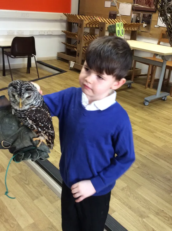 Gallery - created at 2024-02-26 17:15:57 - image 22 Gallery - created at 2024-02-26 17:15:57 - image 22