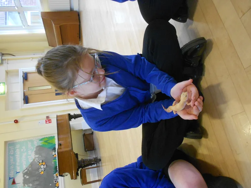 Y6 Reptile Rendezvous - image 32