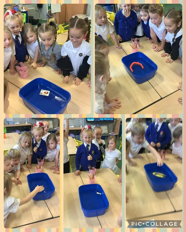 Gallery - created at 2024-02-07 16:29:58 - image 1