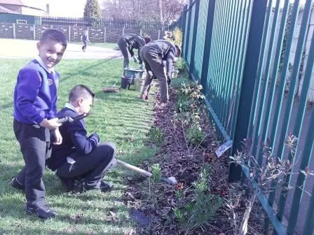 Gallery - created at 2018-01-17 17:01:31 - image 19