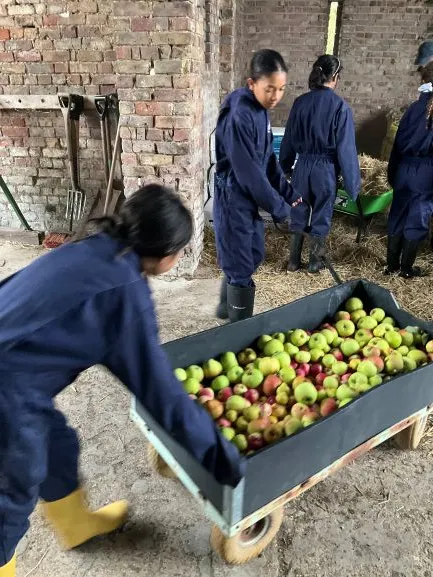 Farm 2025 - Gallery 3 - image 9