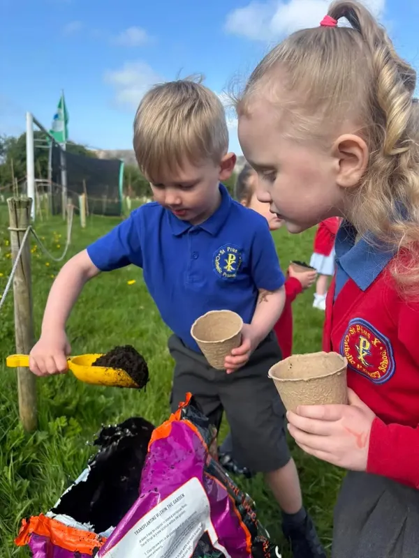 Gallery - created at 2025-05-18 08:26:17 - image 3