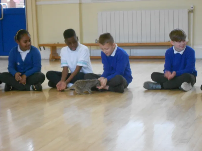 Y6 Reptile Rendezvous - image 87