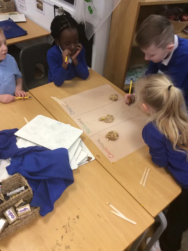 Gallery - created at 2024-02-15 10:37:57 - image 11 Gallery - created at 2024-02-15 10:37:57 - image 11