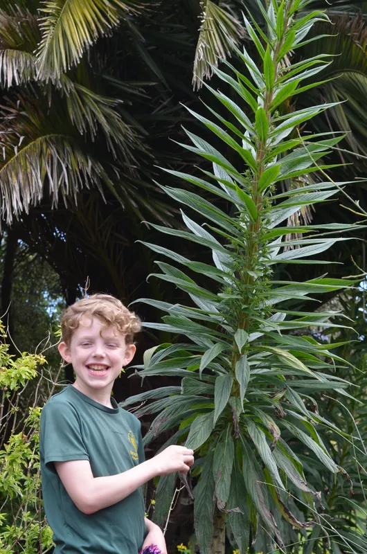 LKS2 Botanical Gardens Trip - image 3