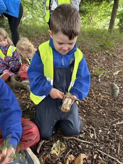 Autumn 2022 - September 21st - Acorns - Changing Properties of Materials and Magic Woodland Porridge - image 2 Autumn 2022 - September 21st - Acorns - Changing Properties of Materials and Magic Woodland Porridge - image 2