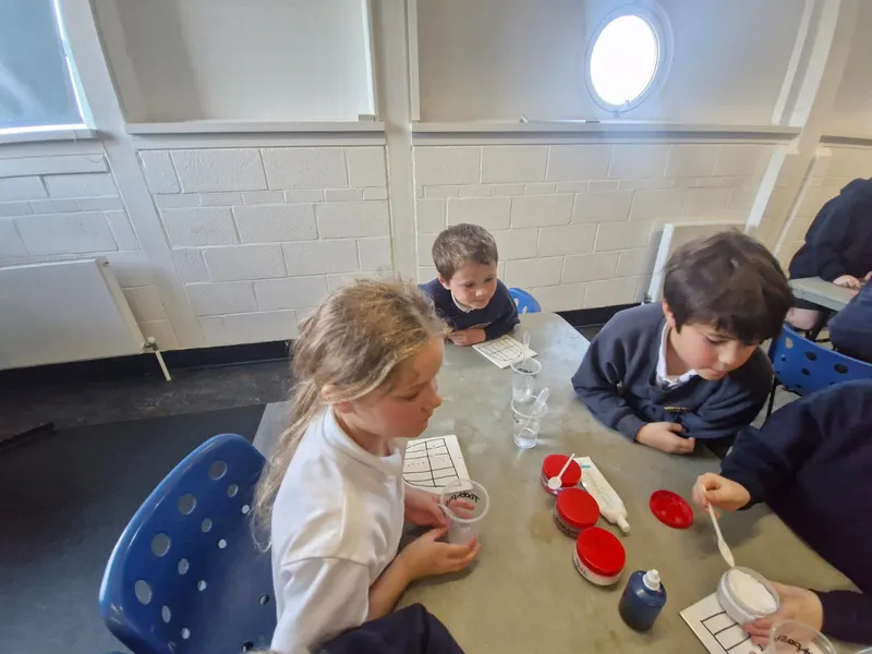 Rigby Catalyst Trip 05.11.25 - image 13