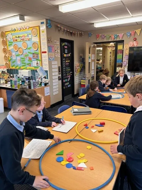 Swallows sorting 2D and 3D shapes in a variety of ways - image 2 Swallows sorting 2D and 3D shapes in a variety of ways - image 2