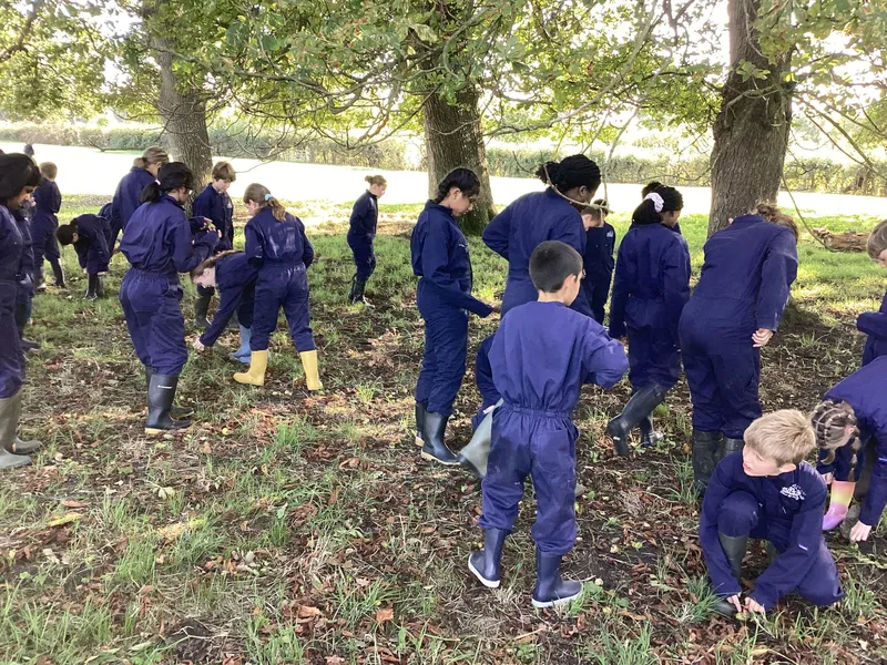 Farm Trip 2025 - image 20