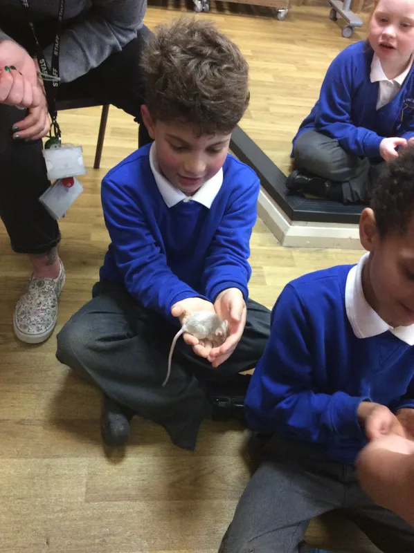 Gallery - created at 2024-03-05 13:52:56 - image 71 Gallery - created at 2024-03-05 13:52:56 - image 71