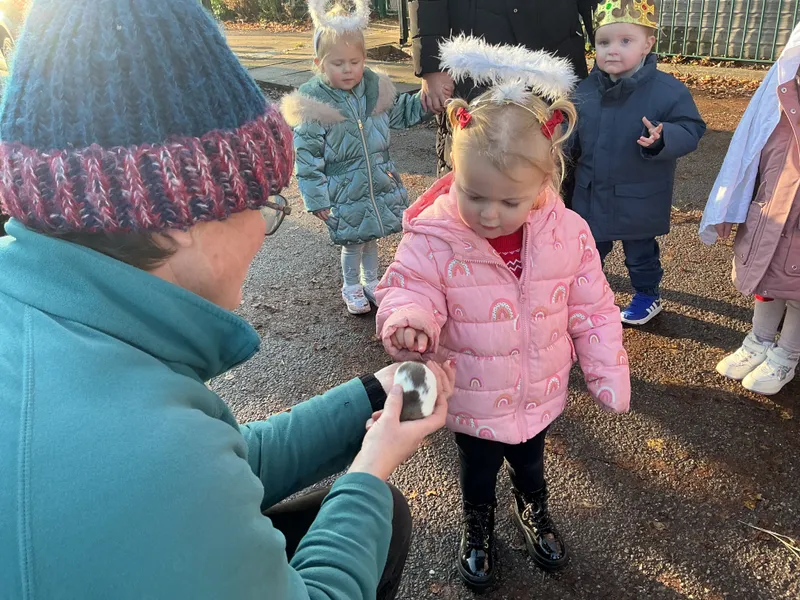 Stella farm on wheels Part 1 - image 24