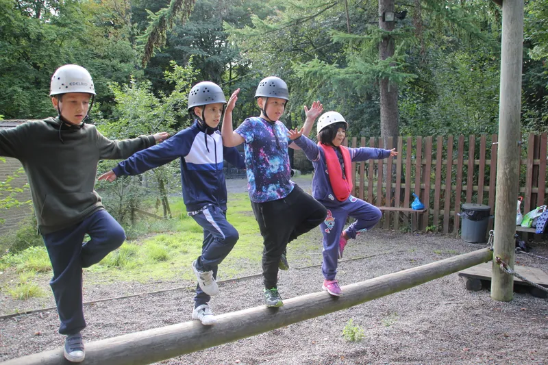 Gallery - created at 2018-10-23 12:06:09 - image 6