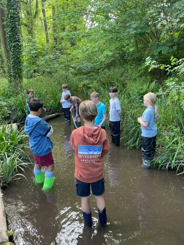 Drews Pond Woods - image 33