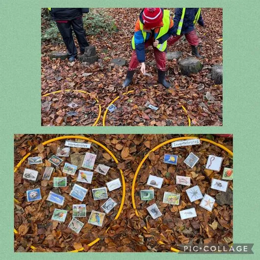 Forest School 25 - image 1 Forest School 25 - image 1