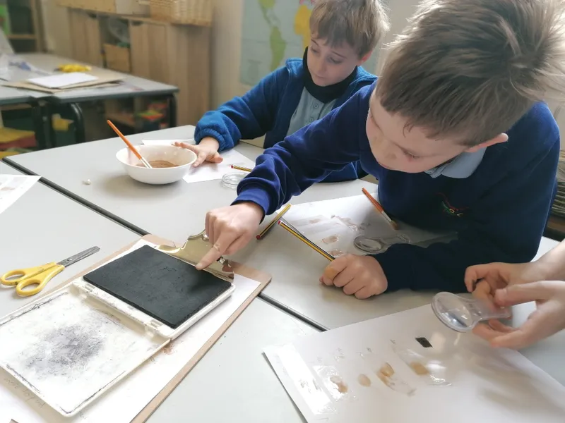 Gallery - created at 2021-03-14 14:39:05 - image 24