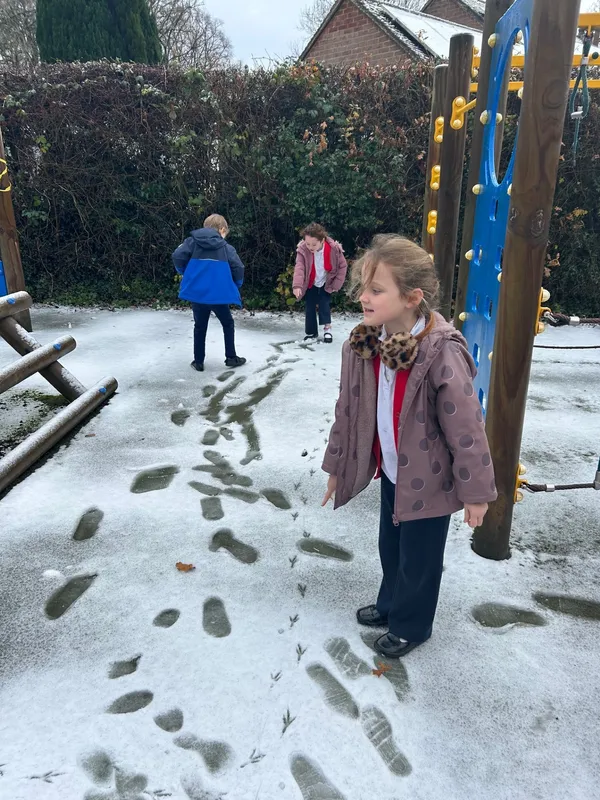 Gallery - created at 2025-11-21 17:41:33 - image 1