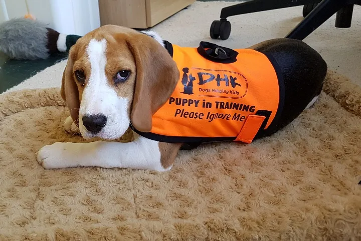 Our School - Bella 11 - image 2