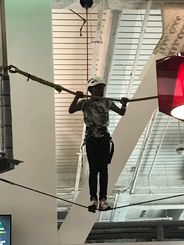 Gallery - image 11 Gallery - image 11