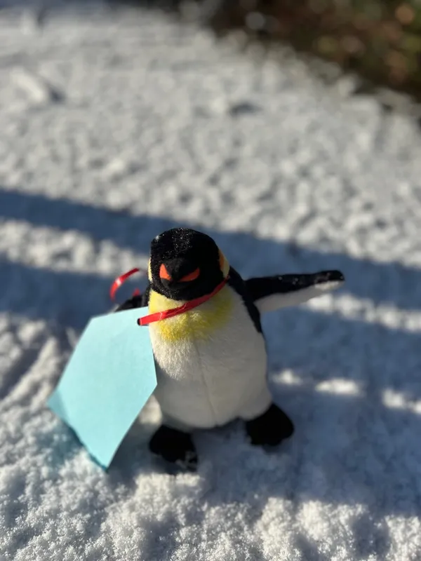 Gallery - created at 2025-01-11 17:50:20 - image 2