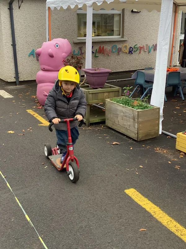 Gallery - created at 2024-10-24 13:27:28 - image 42 Gallery - created at 2024-10-24 13:27:28 - image 42