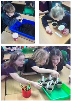 Planting