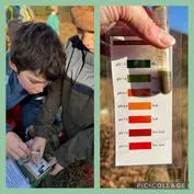 Forest School 26 - image 4 Forest School 26 - image 4