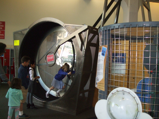 DSCF4979.JPG